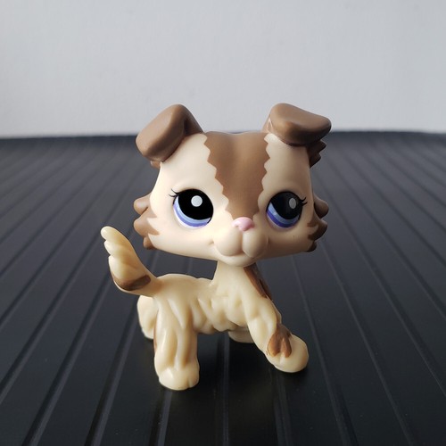 Rare littlest pet - rare,