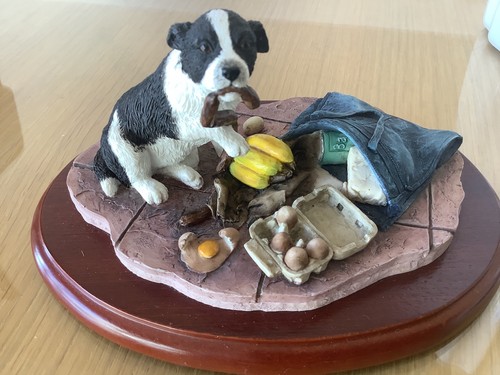 Border fine arts - fine, collie