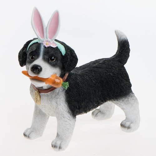 Border collie puppy dog - collie,