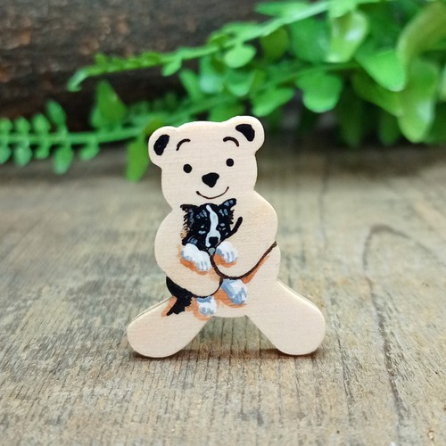 Border collie puppy - border, pin