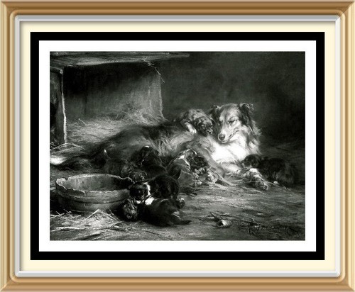 7x5 wall art robert - 7x5,