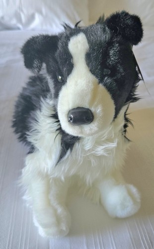 Douglas border collie - border,