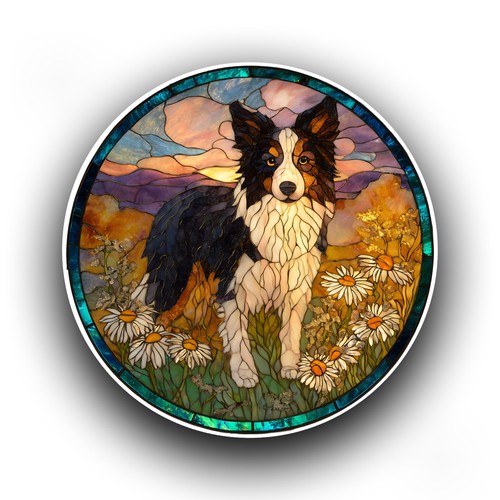 Border collie dog - collie,