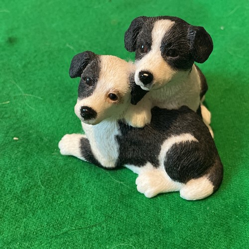 Border collie puppy pair - collie, cute