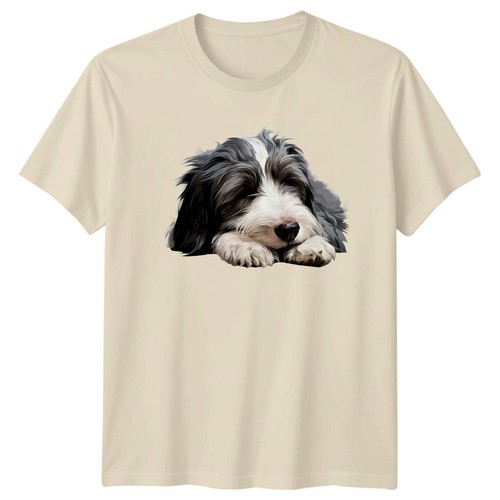 Bearded collie puppy - bearded, dog