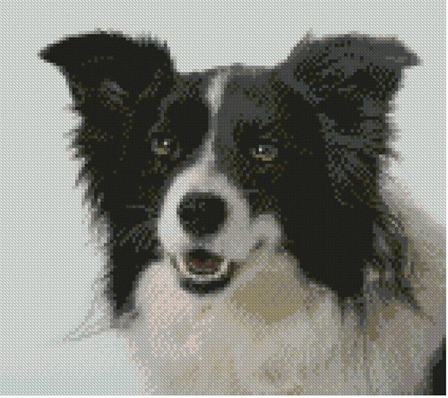 Border collie puppy dog 5cm - border, 25.5cm
