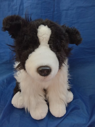 Border collie dog puppy - border,