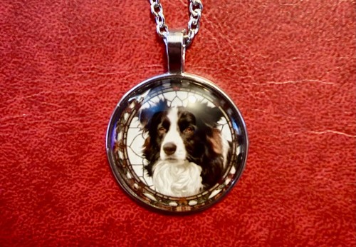 Beautiful collie dog - dog, puppy