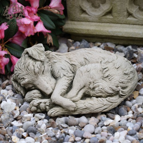 Collie dog puppy stone - collie,