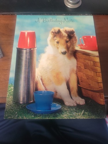 Collie puppy vintage birthday - collie,