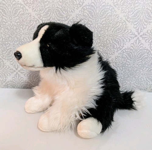Stunning border collie puppy - stunning,