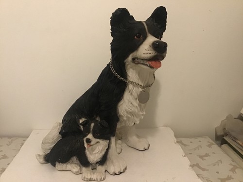 Large collie dog - large,