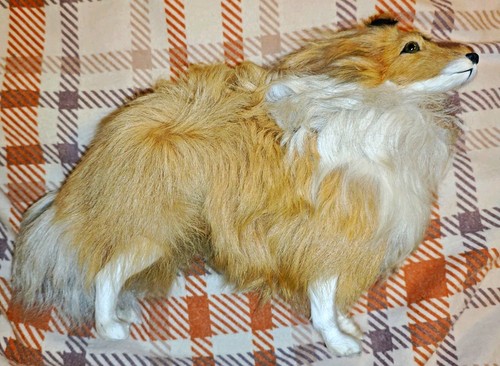 Vintage collie rough - rough,