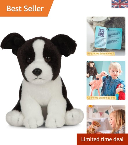 Realistic border collie - realistic,