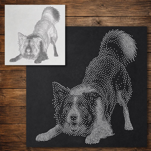 Border collie dog - border, playing