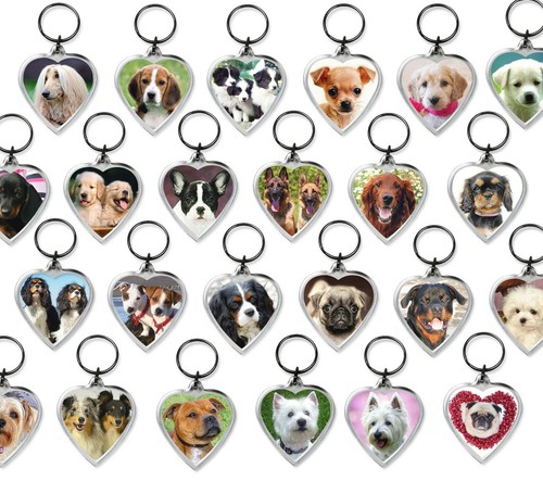Dog keyrings heart - dog,
