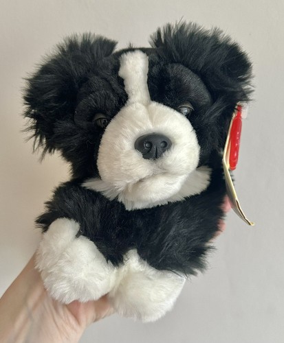 Collie sheep dog - collie,