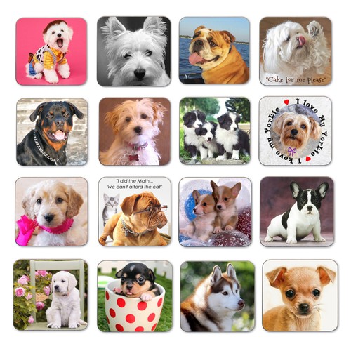 Dog coasters westie - dog,