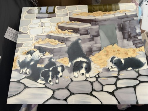 Border collie puppies - collie, at