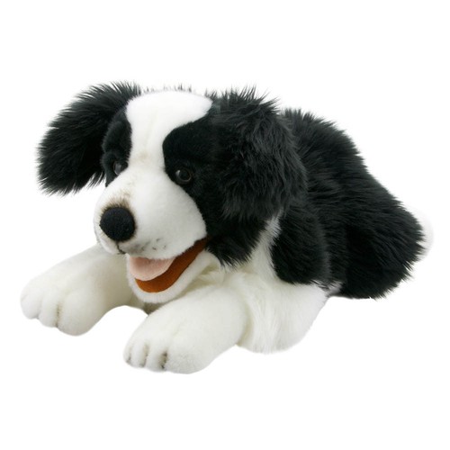 Border collie puppet - border,