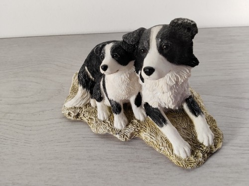 Border collie with puppy made - with,