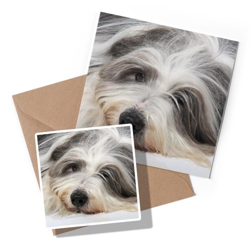 Greeting card sticker - greeting, &