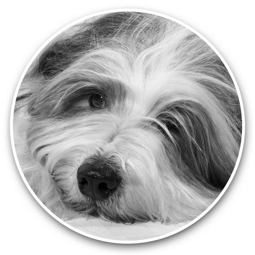 Vinyl stickers 15cm - stickers, (bw)