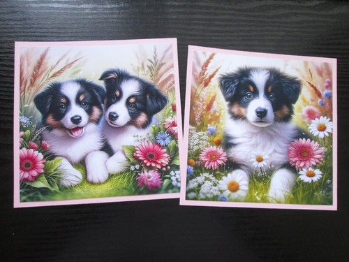 Exclusive x border - 2, collie