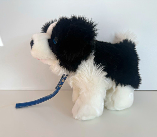 Signature cuddle puppy border - puppy,