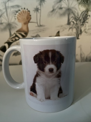 Border collie puppy mug - collie,
