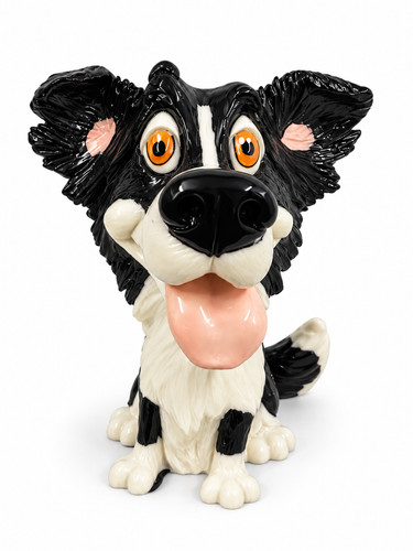 Border collie dog - border,