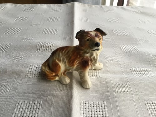 Goebel tri colour - colour, puppy